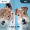 imageMalsiPree 2in1 Dog Grooming Brush ampamp Undercoat Rake  Deshedding Brush and Dematting Comb for Long or Short Haired Dogs  AntiShedding Pet Tool  Deshedding ToolOrange