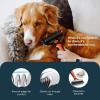 imageMalsiPree 2in1 Dog Grooming Brush ampamp Undercoat Rake  Deshedding Brush and Dematting Comb for Long or Short Haired Dogs  AntiShedding Pet Tool  Deshedding ToolOrange