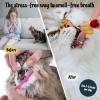 imageMalsiPree Cat Dental Treats  Clean Brighten Freshen ampamp Minimize Tartar  Freeze Dried Breath Freshener  AntiChoke  Cat Dental Chews  Natural Lysozyme Chicken Base 32 Piece