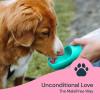 imageMalsiPree Dog Water Bottle with Poop Bag Dispenser Portable Dog Travel Water Bottle Perfect for Walking Hiking On The Go ampamp Car Rides Pets Drinking Poops Bags Not Included