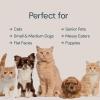 imageMalsiPree Elevated Ceramic Dog ampamp Cat Bowls Set Raised Stand for Small Dogs ampamp All Sized Cats Sand Beige with Splash Guard  Pet BowlsMedium