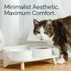 imageMalsiPree Elevated Ceramic Dog ampamp Cat Bowls Set Raised Stand for Small Dogs ampamp All Sized Cats Sand Beige with Splash Guard  Pet BowlsMedium